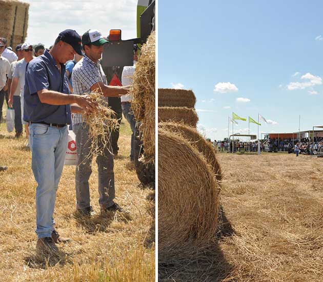 alfalfa colage opt CLAAS despide el 2018 con nuevas experiencias