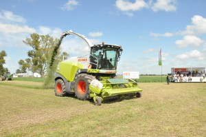 EF Sunchales Parada a Campo Dinamica 011 300x199 