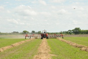EF Sunchales Parada a Campo Dinamica 032 300x199 