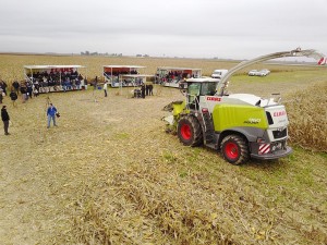 ef ameghino 42 300x225 